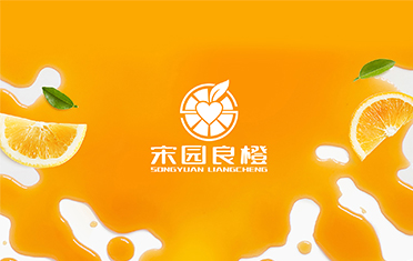 某良橙——荷泽LOGO设计